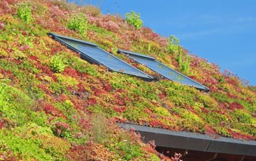Timperley living roof systems